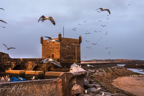 09.Moroc19_SM00603 
Africa, Morocco, April 2019
Essaouira Citadel