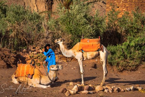 02.Moroc19_SM01173 
Africa, Morocco, April 2019
Citadel (Ksar)of Ait Ben Haddou