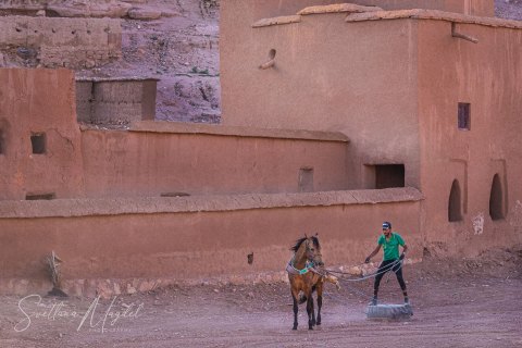 02.Moroc19_SM01193 
Africa, Morocco, April 2019
Citadel (Ksar)of Ait Ben Haddou
