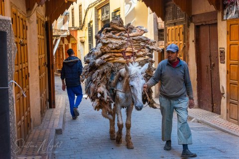 06.Moroc19_SM04567 
Africa, Morocco, April 2019
Medina Of Fez: Leather supplier