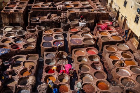 07.Moroc19_SM04630 
Africa, Morocco, April 2019
Fez: Chouara Tannery,  Leather Dye pits