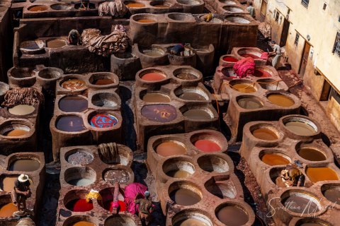 07.Moroc19_SM04635_04638 
Africa, Morocco, April 2019
Fez: Chouara Tannery,  Leather Dye pits