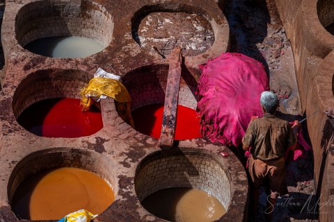 07.Moroc19_SM04654 
Africa, Morocco, April 2019
Fez: Chouara Tannery,  Leather Dye pits