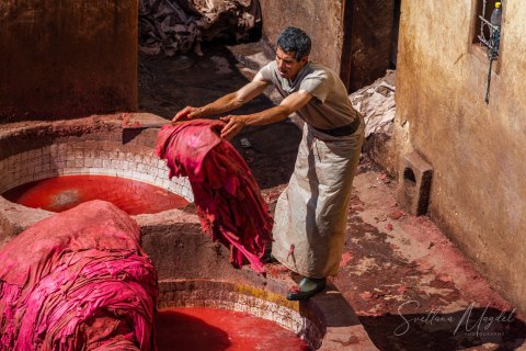 07.Moroc19_SM04675 
Africa, Morocco, April 2019
Fez: Chouara Tannery,  Leather Dye pits
