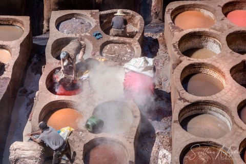 07.Moroc19_SM04730 
Africa, Morocco, April 2019
Fez: Chouara Tannery,  Leather Dye pits