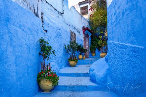 08.Moroc19_SM05153 
Africa, Morocco, April 2019
Chefchaouen, 