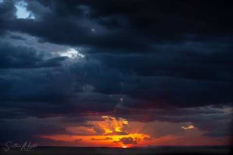 SM04328 
Dramatic Sunrise in savanna, red sky, sun through the clouds