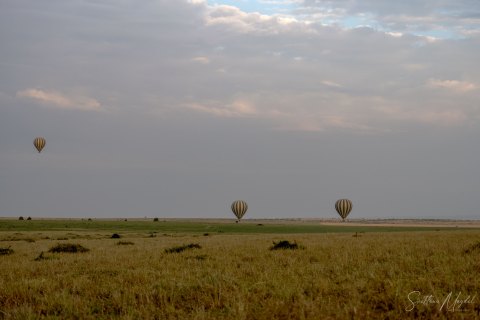 SVM_1369 
Cloudy morning in savanna, red sky, balloons