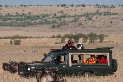 1_SM02755 
1_Cheetah  attacking an antelope Gnu