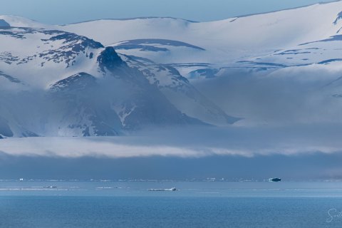SVLD_SM02090 
Svalbard, Norway, July 2023
MV Freya Expedition ;  exploring the fjords ,  glaciers and icebergs