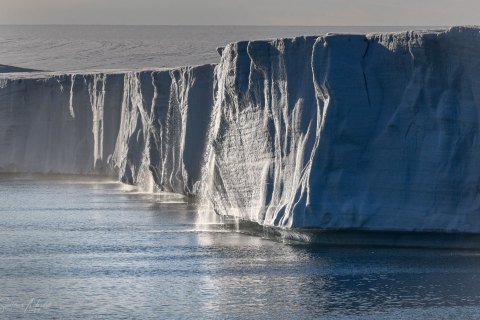 SVLD_SM02911 
Svalbard, Norway, July 2023
MV Freya Expedition ;  exploring the fjords ,  glaciers and icebergs
