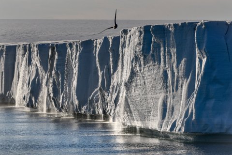 SVLD_SM02919 
Svalbard, Norway, July 2023
MV Freya Expedition ;  exploring the fjords ,  glaciers and icebergs
