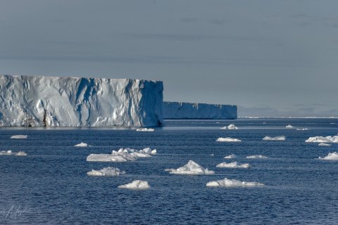SVLD_SM02938 
Svalbard, Norway, July 2023
MV Freya Expedition ;  exploring the fjords ,  glaciers and icebergs