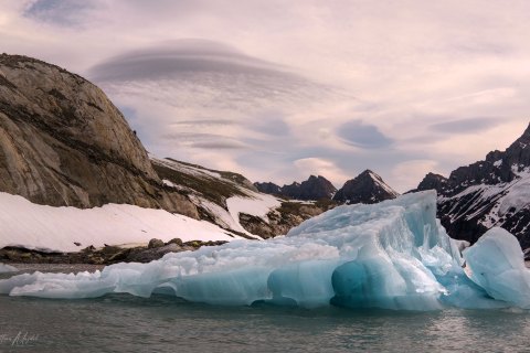 SVLD_SM04953-Copy 
Svalbard, Norway, July 2023
MV Freya Expedition ;  exploring the fjords ,  glaciers and icebergs