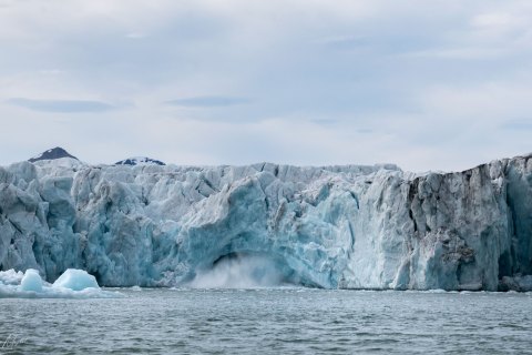 SVLD_SM04993 
Svalbard, Norway, July 2023
MV Freya Expedition ;  exploring the fjords ,  glaciers and icebergs