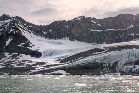 SVLD_SM05082 
Svalbard, Norway, July 2023
MV Freya Expedition ;  exploring the fjords ,  glaciers and icebergs