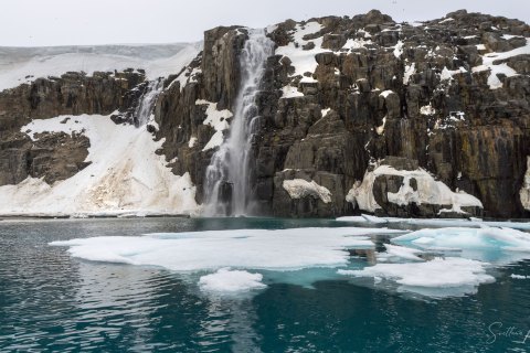 SVLD_SVM9234 
Svalbard, Norway, July 2023
MV Freya Expedition ;  exploring the fjords ,  glaciers and icebergs