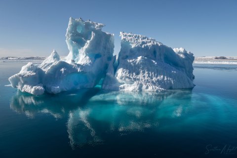 SVLD_SVM9380 
Svalbard, Norway, July 2023
MV Freya Expedition ;  exploring the fjords ,  glaciers and icebergs
