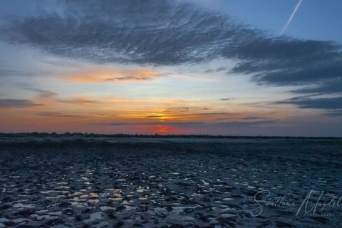 09.FR19_SM08098 
Europe, France, July  2019
Camargue skyes