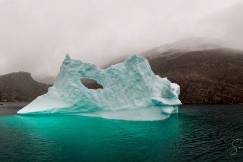 11.GRN_DJI_0382_0387.P.DR_ 
Greenland, September 2022
M/S Freya  Expedition 
East Greenland Scoresby Sound  fjord system 
Bear Iceland,  Iceberg