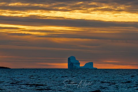 05.GRN_SM06527 
Greenland, September 2022
M/S Freya  Expedition 
East Greenland Scoresby Sound  fjord system 
Sunrise , icebergs