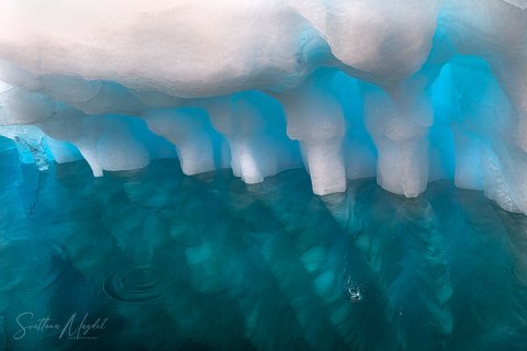 07.GRN_SVM0227 
Greenland, September 2022
M/S Freya  Expedition 
East Greenland Scoresby Sound  fjord system 
Iceberg   city, Deep in the water (from Zodiac)
