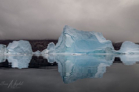 06.GRN_SVM0467 
Greenland, September 2022
M/S Freya  Expedition 
East Greenland Scoresby Sound  fjord system 
Iceberg   city  (from Zodiac)