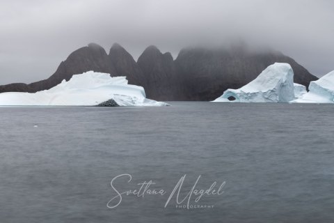 09.GRN_SVM1513_1513.P 
Greenland, September 2022
M/S Freya  Expedition 
East Greenland Scoresby Sound  fjord system 
Bear Island, Icebergs, Glaciers, Mountains