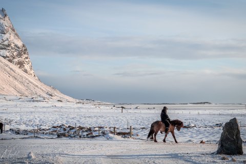 SVM3189 
Vestrahorn mountain, single rider