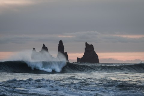 SVM3721 
Reynisfjara Black Sand Beach