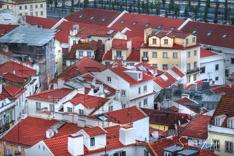 Port19_SM05900 
Europe, Portugal, May 2019
Lisbon