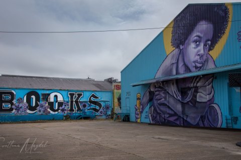 NOLA20_SM03296 
New Orleans, Louisiana, Bywater neighborhood:  Brandan Bmike Odums mural,