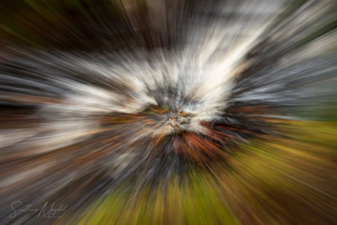 00.UP20_SM02721 
Presque Isle River, Porcupine Mountains, Upper Peninsula, Michigan, USA