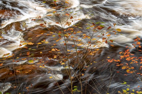 00.UP20_SM02730 
Presque Isle River, Porcupine Mountains, Upper Peninsula, Michigan, USA