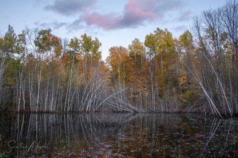 01.UP20_SM03175 
Sunset, Neva Lake,  Wisconsin, USA