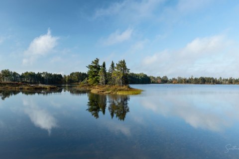01.UP21_SVM_1045 
Seney National Wildlife Refuge, Michigan, Upper Peninsula, USA