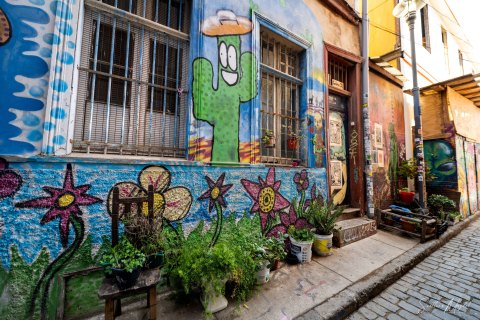 VALP_SVM1761 
Chile, Valparaiso 
October 2023
Street murals 