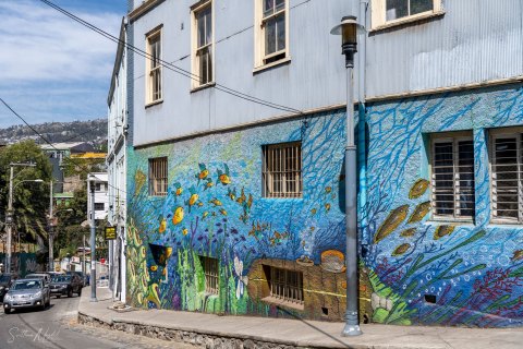 VALP_SVM1973_1975 
Chile, Valparaiso 
October 2023
Street  art, murals 