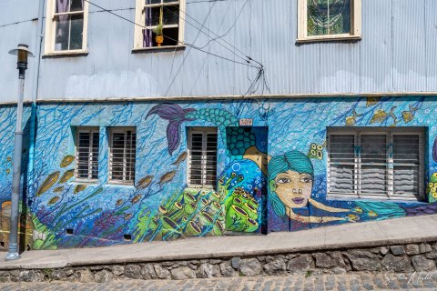 VALP_SVM1976_1978 
Chile, Valparaiso 
October 2023
Street  art, murals 