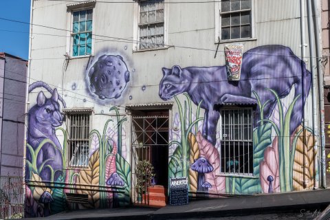 VALP_SVM2029_2032 
Chile, Valparaiso 
October 2023
Street  art, murals 