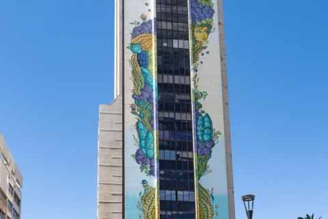 VALP_SVM2062 
Chile, Valparaiso 
October 2023
Street murals 