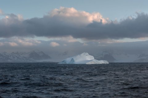 SG_SM01800 
South Georgia, UK Overseas Protectorate,  
South Atlantic Ocean
October 2023