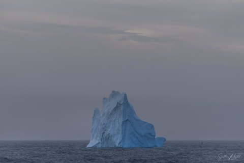 SG_SM08573 
South Georgia, UK Overseas Protectorate,  
South Atlantic Ocean
October 2023
Icebergs