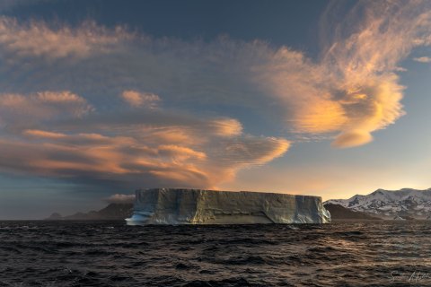 SG_SVM3921_3924.P 
South Georgia, UK Overseas Protectorate,  
South Atlantic Ocean
October 2023