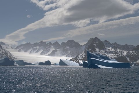 SG_SVM4371_4373.P 
South Georgia, UK Overseas Protectorate,  
South Atlantic Ocean
October 2023
Icebergs