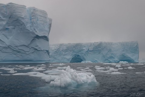 SG_SVM4713 
South Georgia, UK Overseas Protectorate,  
South Atlantic Ocean
October 2023