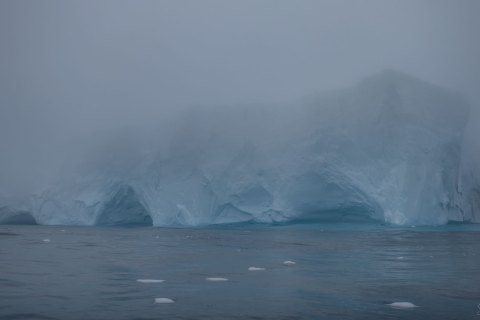 SG_SVM4778 
South Georgia, UK Overseas Protectorate,  
South Atlantic Ocean
October 2023