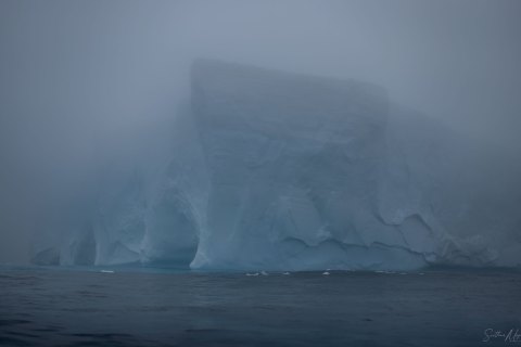 SG_SVM4791 
South Georgia, UK Overseas Protectorate,  
South Atlantic Ocean
October 2023