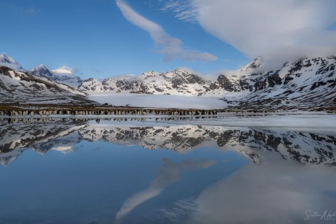 SG_SVM5322 
South Georgia, UK Overseas Protectorate,  
South Atlantic Ocean
October 2023
Andrews  Bay Panorama