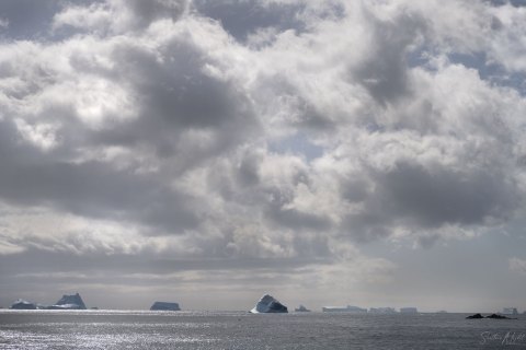 SG_SVM5395 
South Georgia, UK Overseas Protectorate,  
South Atlantic Ocean
October 2023